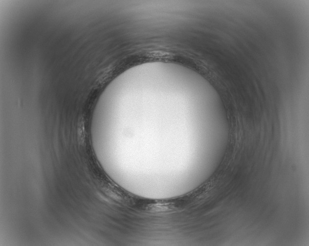 X0000056310320200508260831