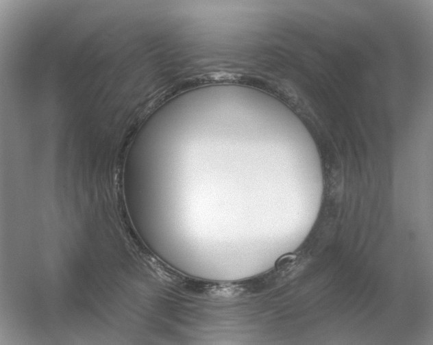 X0000056310321200508260831