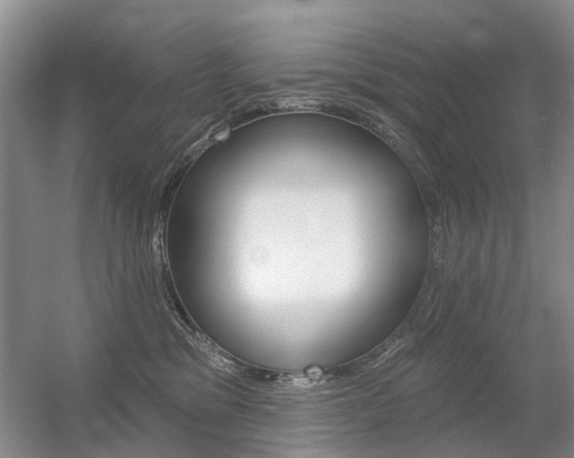 X0000056310329200508260831