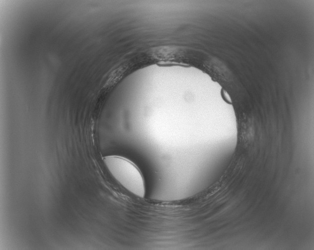X0000056310332200508260831