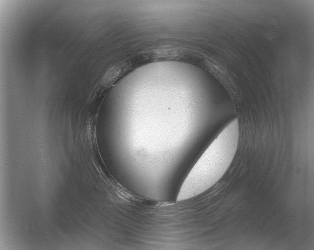 X0000056310333200508260831