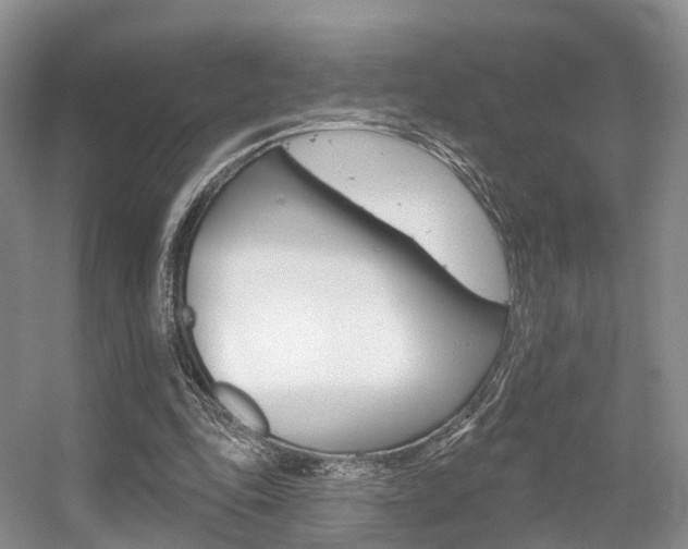 X0000056310343200508260830