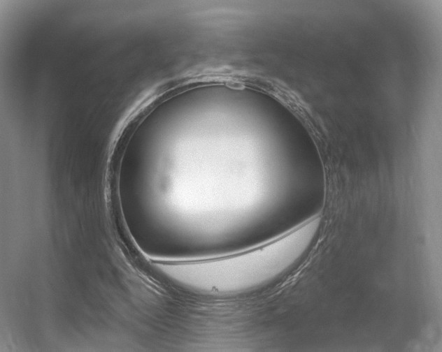 X0000056310344200508260830
