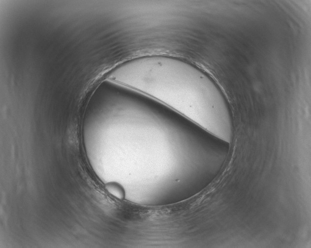 X0000056310345200508260830