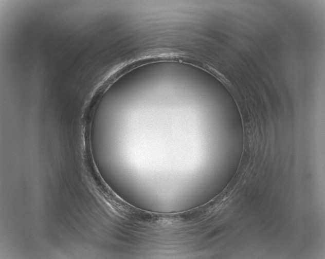 X0000056310350200508260831