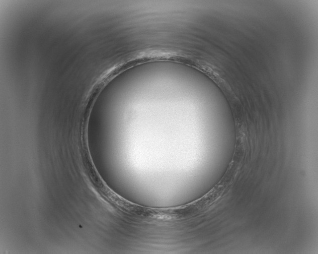 X0000056310352200508260831