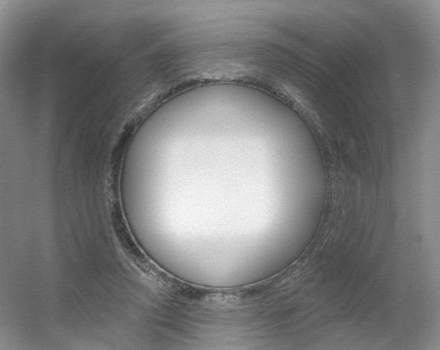 X0000056310354200508260831