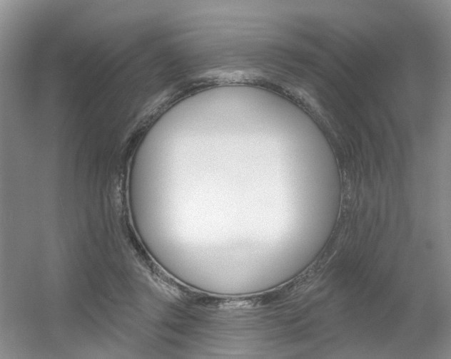 X0000056310357200508260831