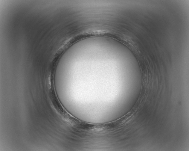 X0000056310358200508260831