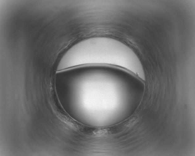 X0000056310362200508260831