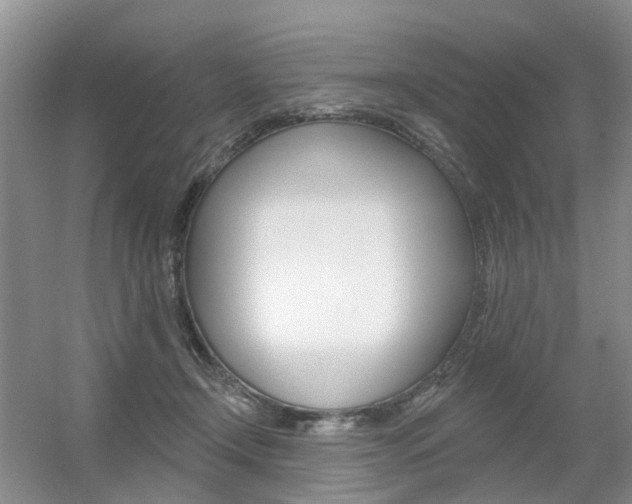 X0000056310366200508260831