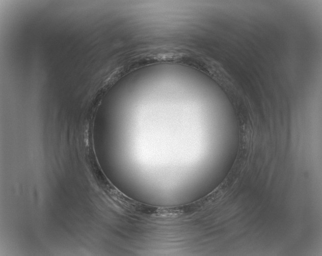 X0000056310368200508260831