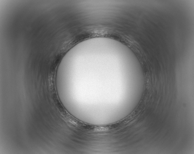 X0000056310369200508260831