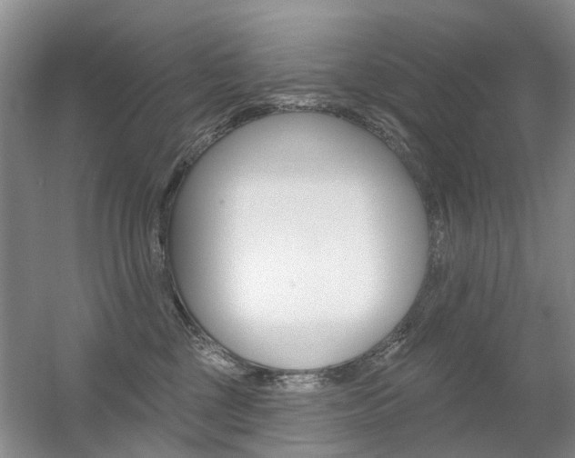 X0000056310377200508260831