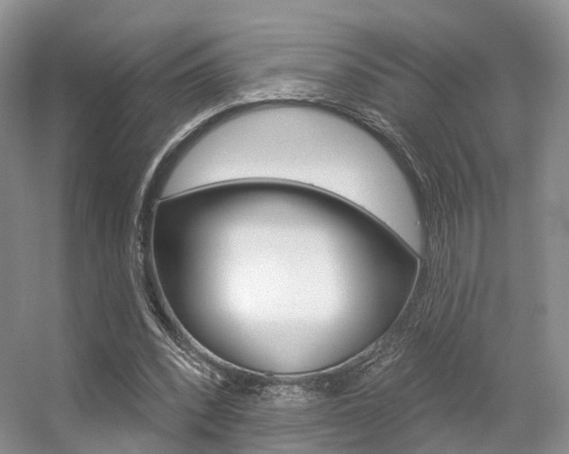 X0000056310392200508260830