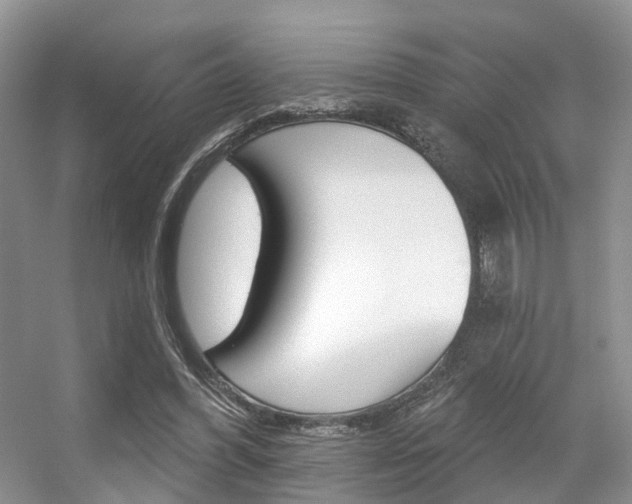 X0000056310396200508260830