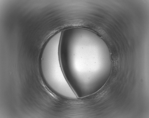 X0000056310397200508260830