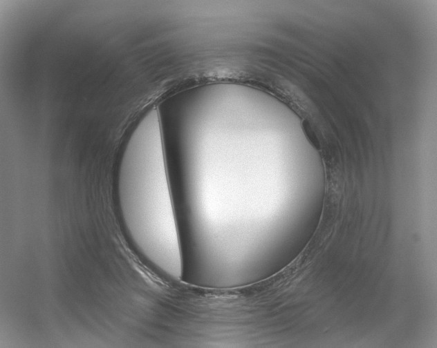X0000056310401200508260830