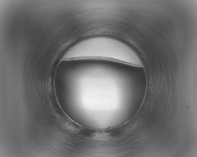 X0000056310403200508260830