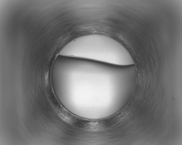 X0000056310406200508260830