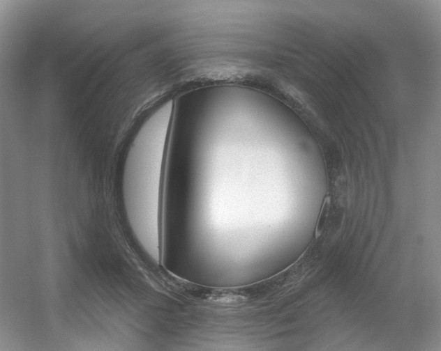 X0000056310407200508260830