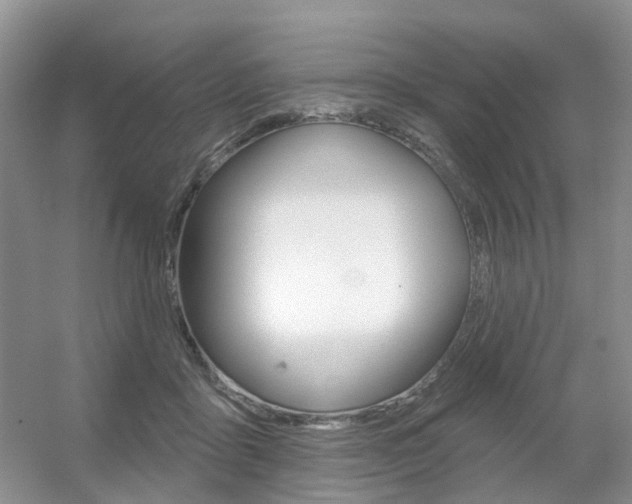 X0000056310411200508260830