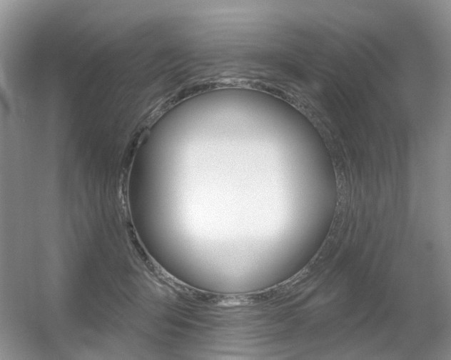 X0000056310415200508260830