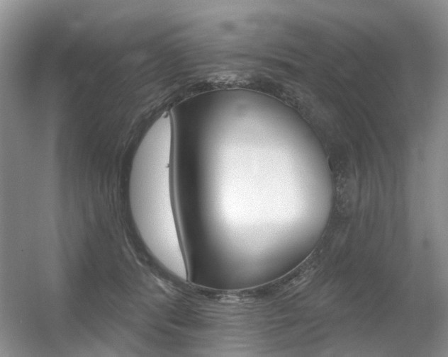 X0000056310416200508260830