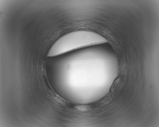 X0000056310417200508260830