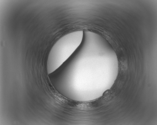 X0000056310422200508260830