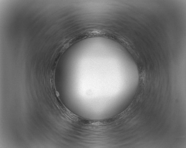 X0000056310423200508260830