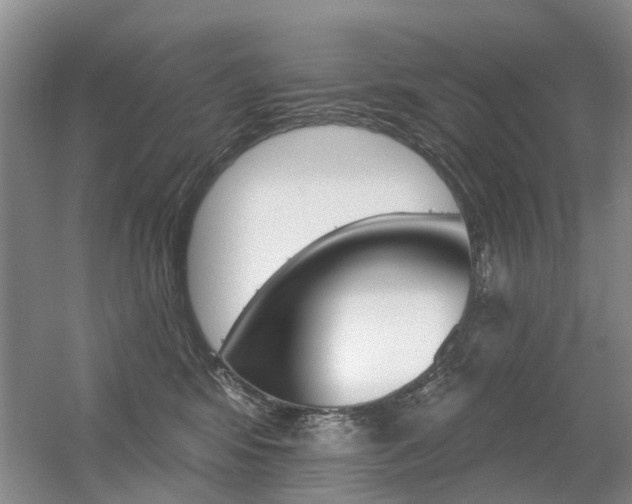 X0000056310424200508260830
