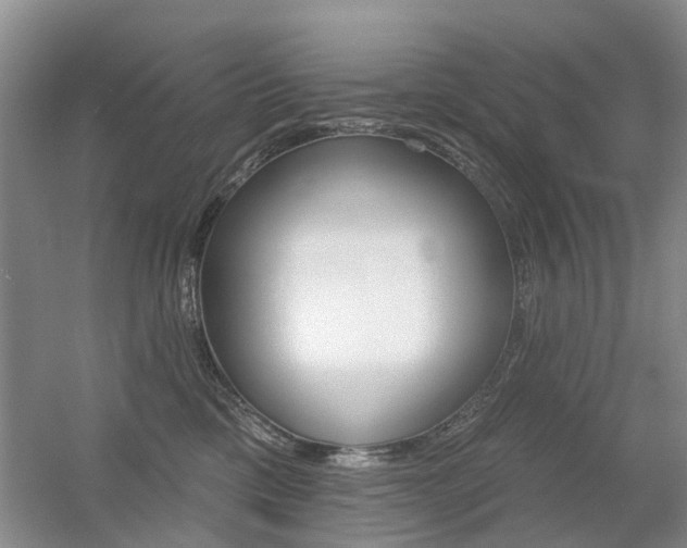 X0000056310425200508260830