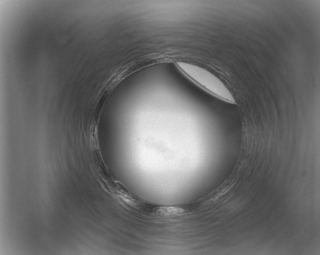 X0000056310429200508260830