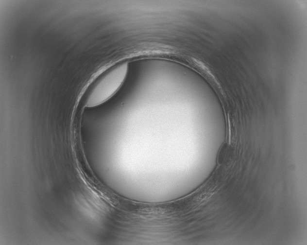 X0000056310435200508260829