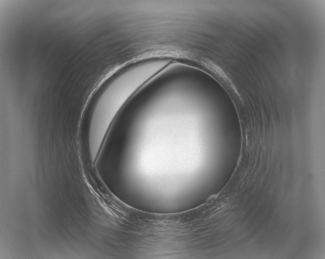 X0000056310436200508260829