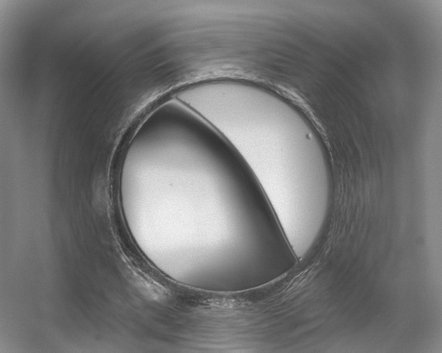 X0000056310439200508260829