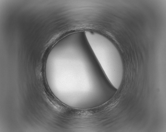 X0000056310443200508260829