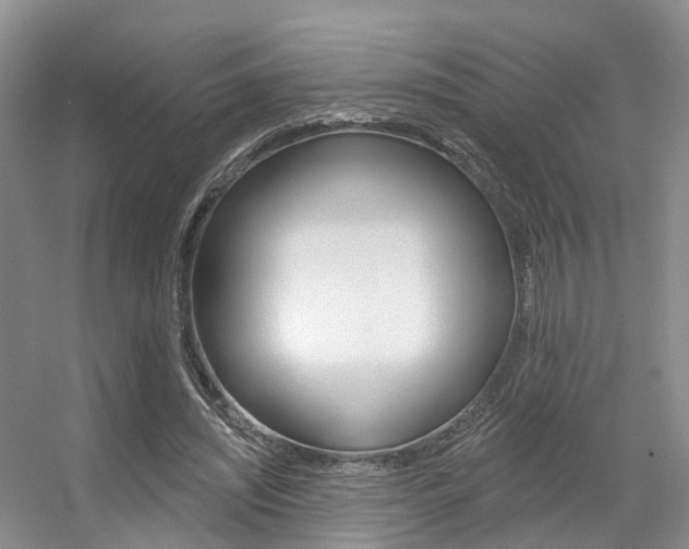 X0000056310444200508260829