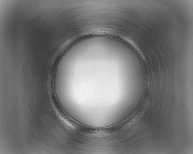 X0000056310445200508260829