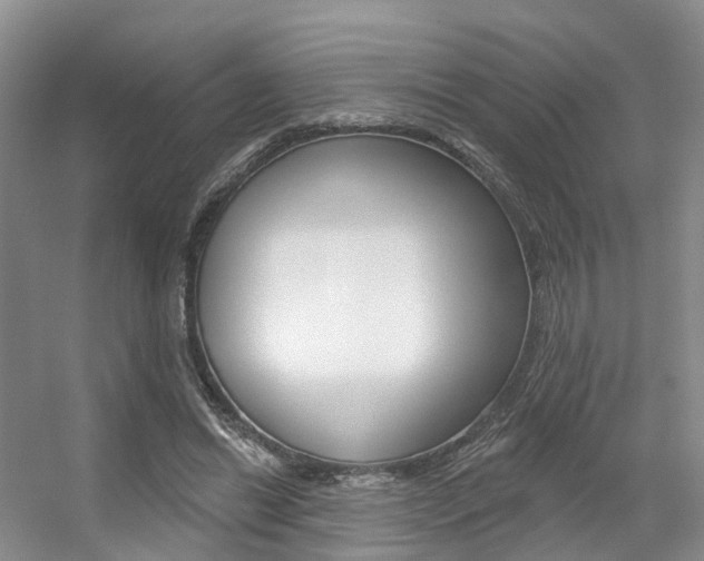 X0000056310446200508260829