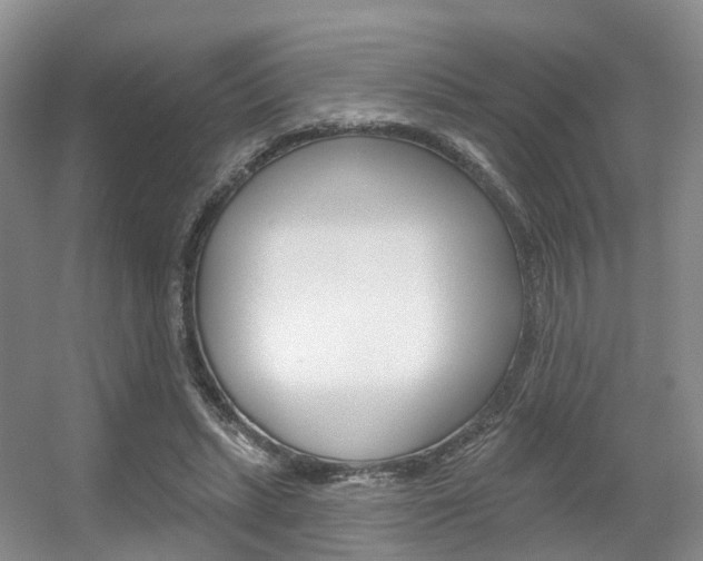 X0000056310447200508260829