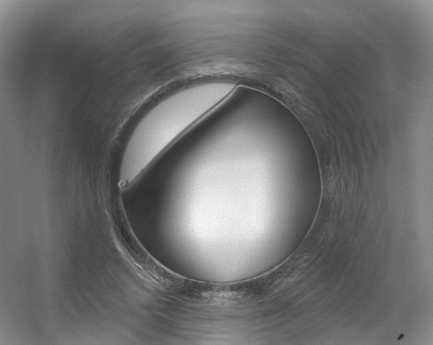 X0000056310448200508260829