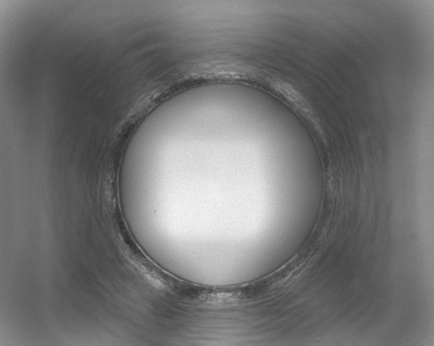 X0000056310449200508260829