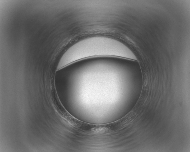 X0000056310452200508260829
