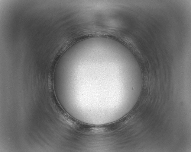X0000056310457200508260829