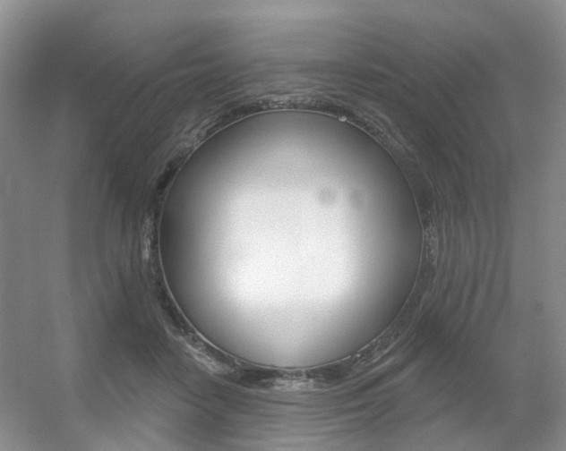 X0000056310458200508260829