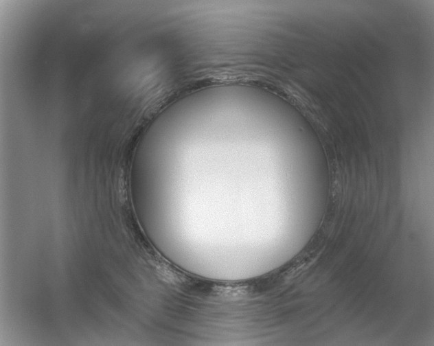 X0000056310469200508260829
