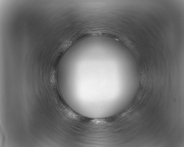 X0000056310477200508260829