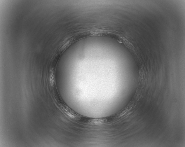 X0000056310479200508260829